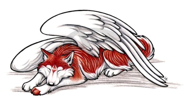 Красный крылатый волк