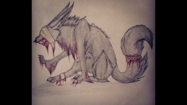 Аниме животные волки карандаш