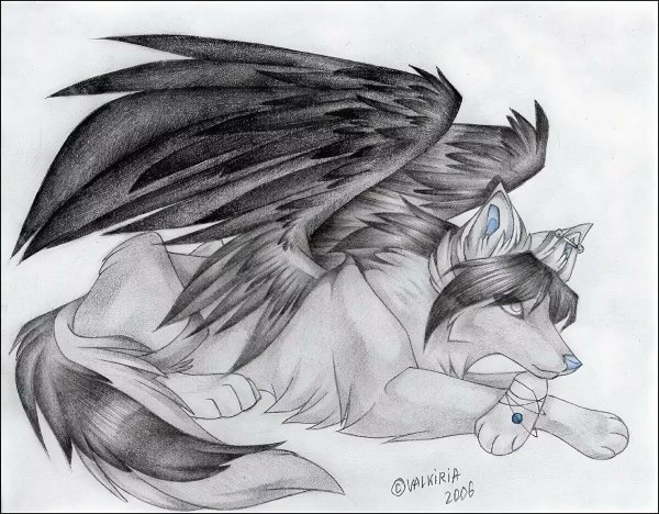 Волк с крыльями рисунок для срисовки