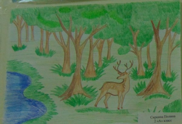 Природа родного края рисунки