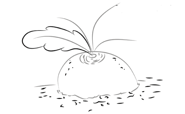Репка нарисовать карандашом