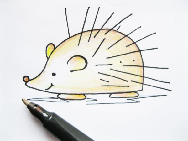 Пошаговое рисование ежика