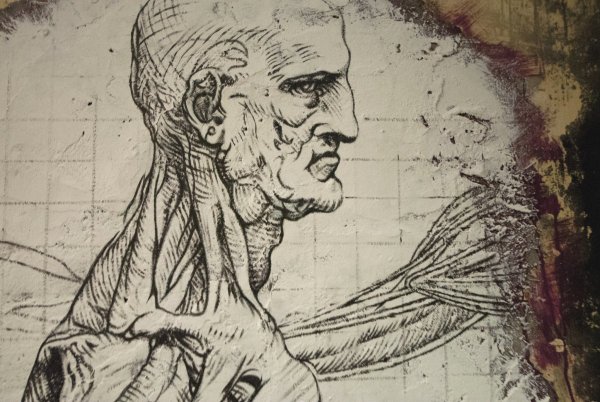 Леонардо да Винчи Графика