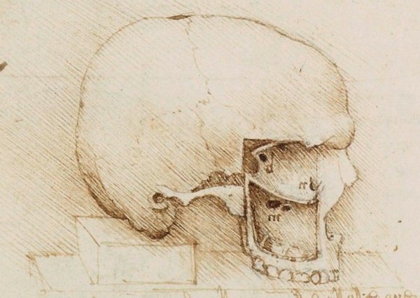 Леонардо да Винчи зарисовки казней