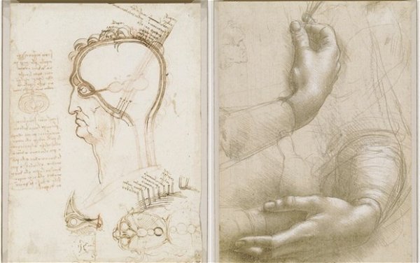 Картины Леонардо да Винчи медицина