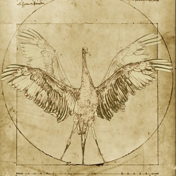 Леонардо да Винчи полет