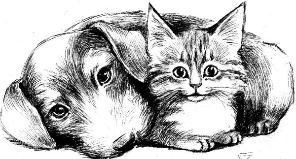 Кошка и собака рисунок