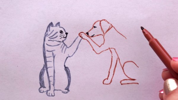 Рисовать кошку и собаку