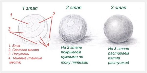 Свет тень полутень рефлекс блик в рисунке карандашом