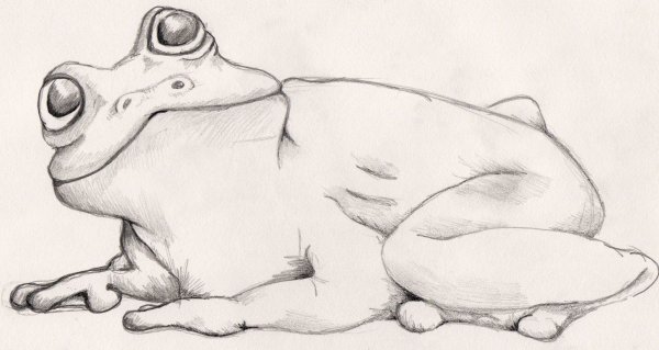 Картинки для срисовки кофе