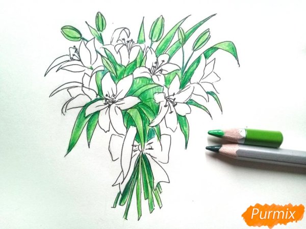 Букет лилий карандашом