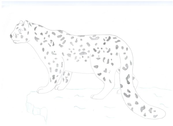 Снежный Барс рисунок для детей