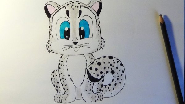 Снежный Барс для срисовки