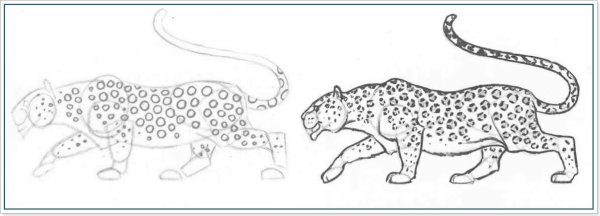Леопард рисунок карандашом поэтапно