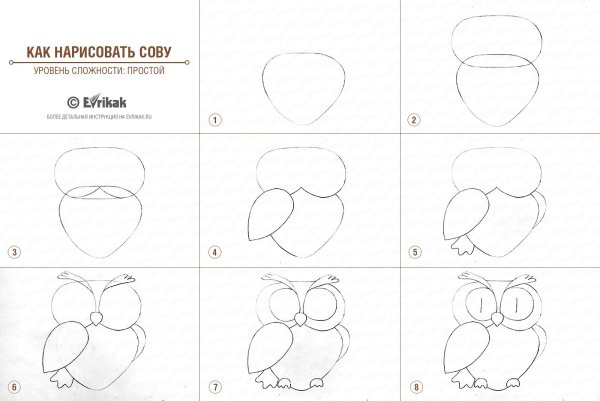Поэтапное рисование Совы