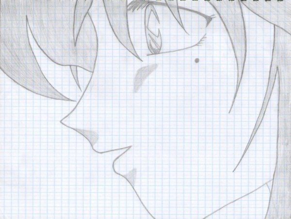 Рисунки в тетради лёгкие карандашом