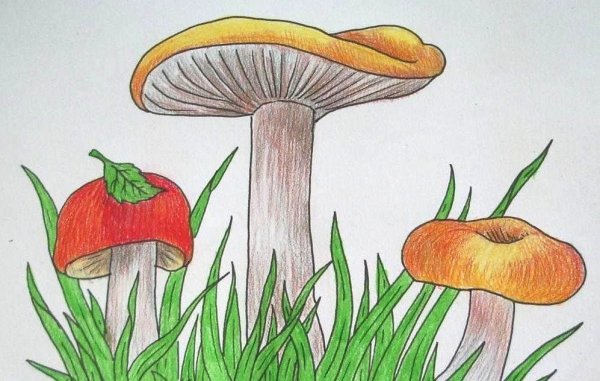 Рисование с детьми грибы