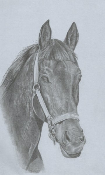 Серый карандаш для рисования