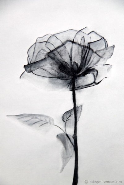 Живопись акварель в черно белых тонах