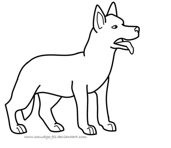 Овчарка раскраска для детей