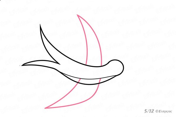 Рисунки птиц для срисовки