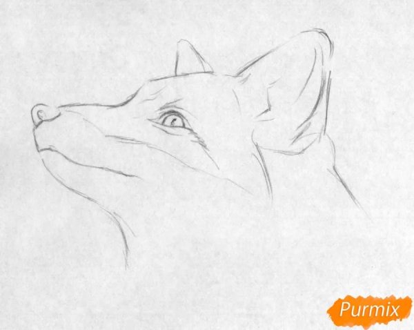 Рисунки простым карандашом для начинающих