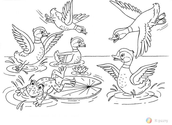 Лягушка путешественница рисунок легкий