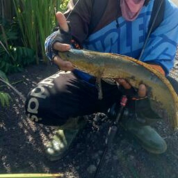 Нарисовать рыбалку