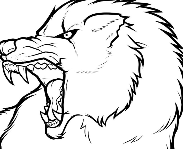 Рисунок волка карандашом для срисовки