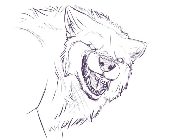 Рисунки для срисовки злых Волков