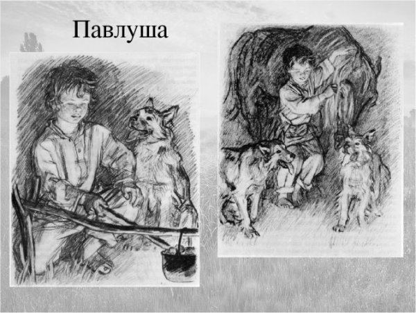 Павлуша Бежин луг