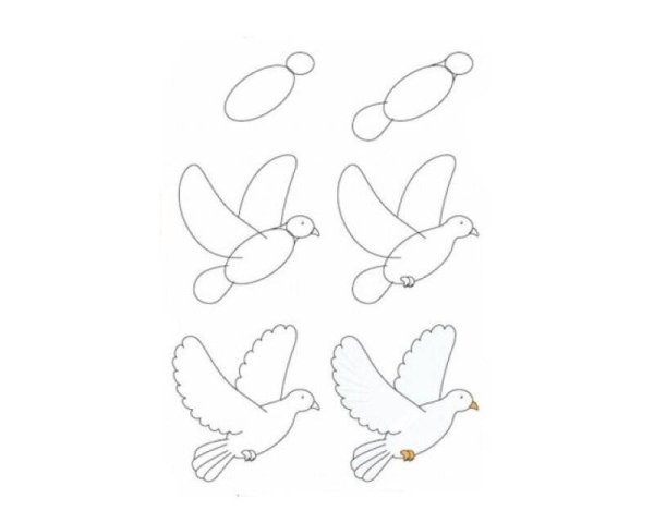 Голубь для рисования