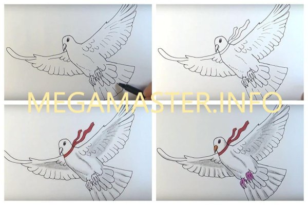 Голубь пошагово