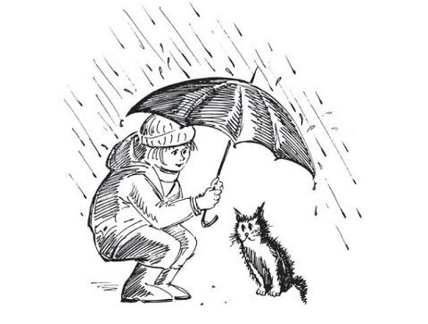 Зарисовки на тему доброта