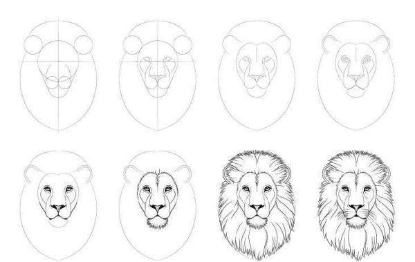 Как рисовать Льва поэтапно