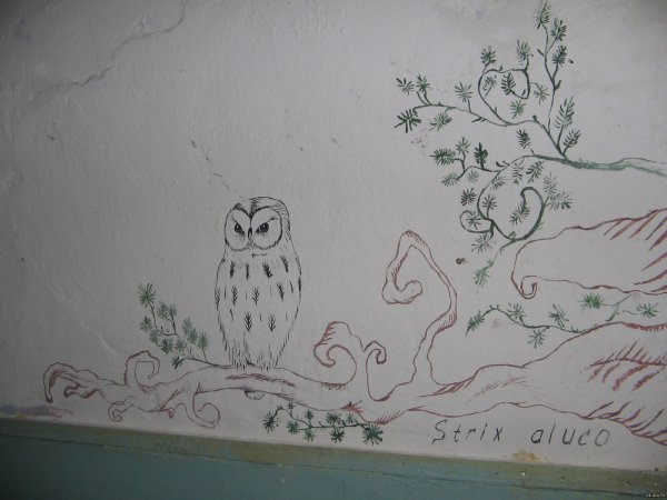 Красивые рисунки на стену в комнате на бумаге