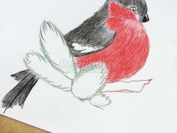 Снегирь раскраска