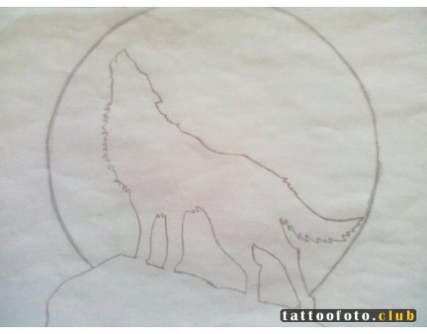 Волк воет на луну поэтапное рисование