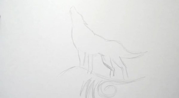 Рисунки Волков карандашом для начинающих волк воет на луну