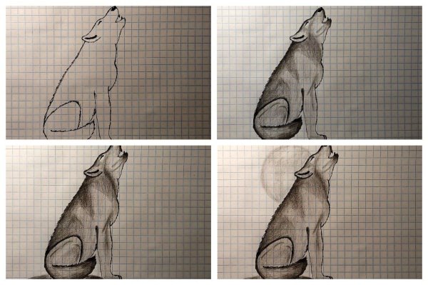 Волк воет на луну поэтапное рисование