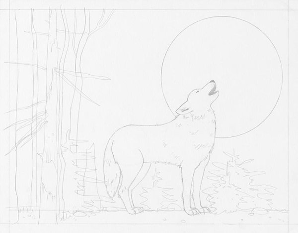 Раскраска как волк воет на луну