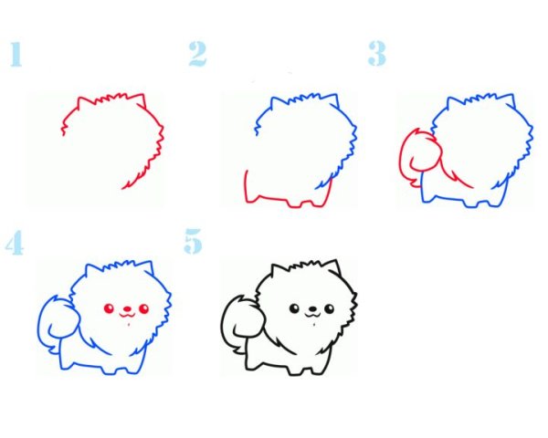 Шпиц рисунок поэтапно