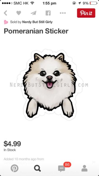 Шпиц трафарет