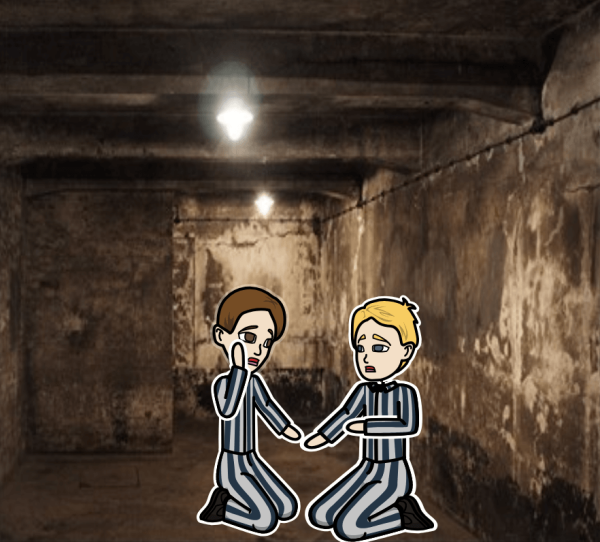 Мальчик в полосатой пижаме краткое содержание книги