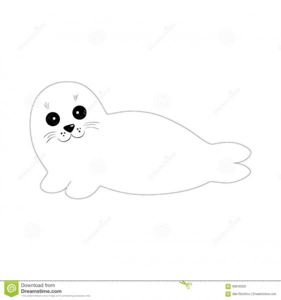 Нерпа Байкальская рисунок