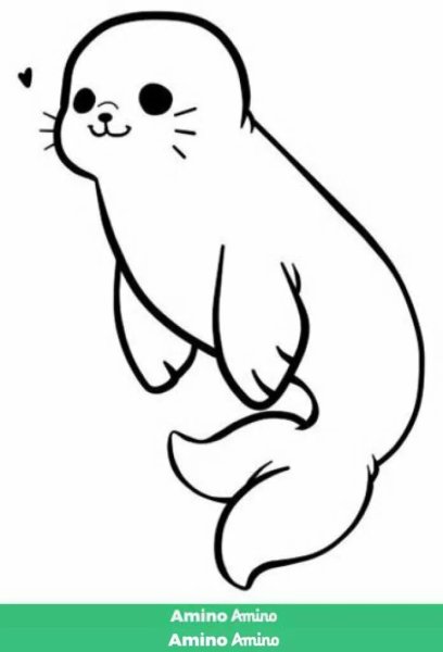 Морской котик раскраска