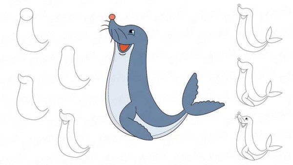 Морской котик рисовать