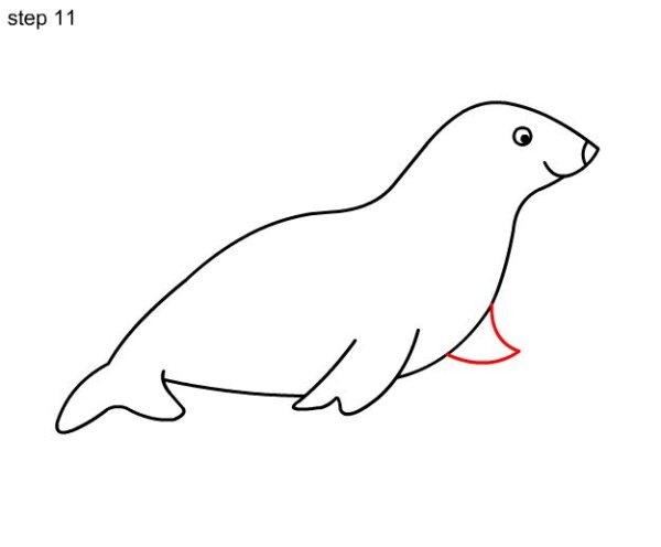 Тюлень схематично