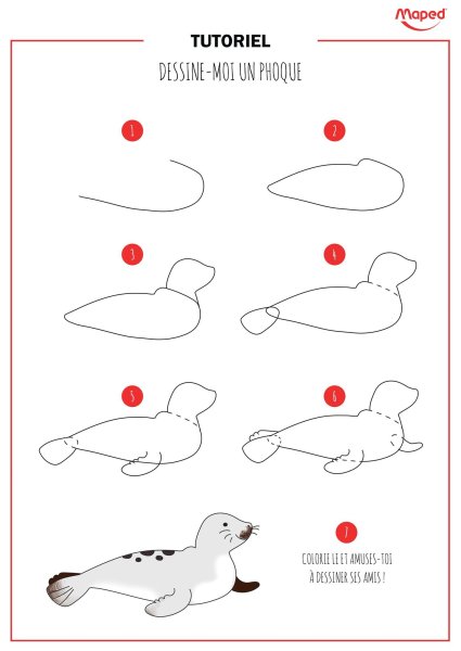 Нарисовать тюленя поэтапно