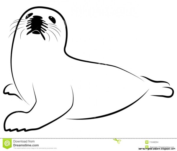 Тюлень силуэт